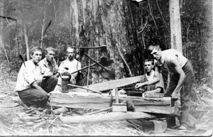 Yarramalong timber cutters